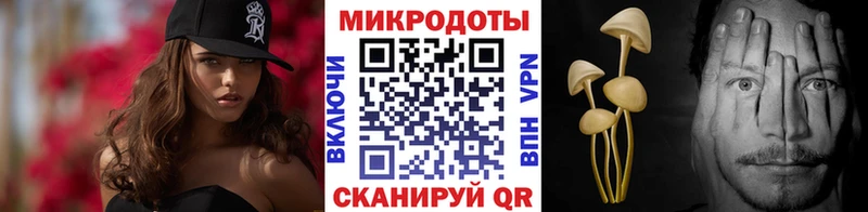 закладка  Дегтярск  Галлюциногенные грибы Psilocybe 